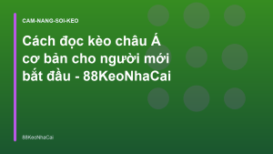 Read more about the article Cách đọc kèo châu Á cơ bản cho người mới bắt đầu – 88KeoNhaCai
